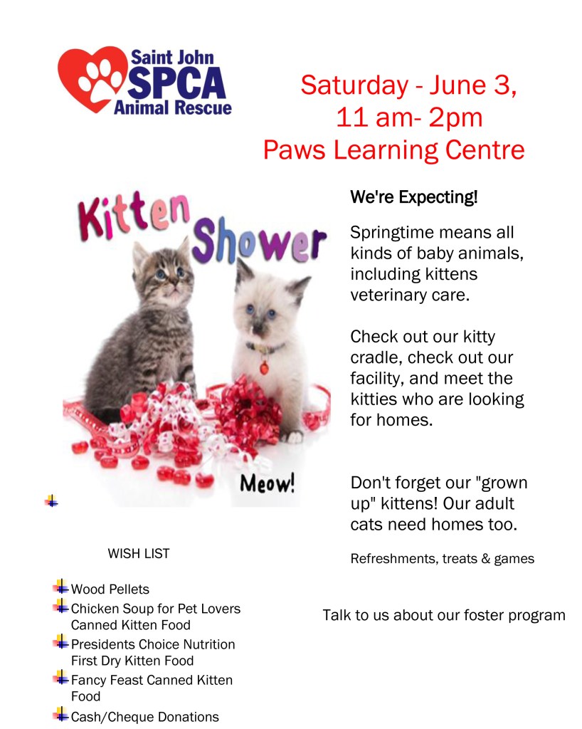 kitten shower poster
